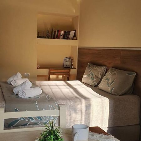 Alle'S M Shyri Studio Apartment ティラナ エクステリア 写真