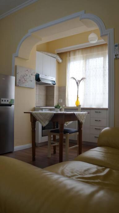 Alle'S M Shyri Studio Apartment ティラナ エクステリア 写真