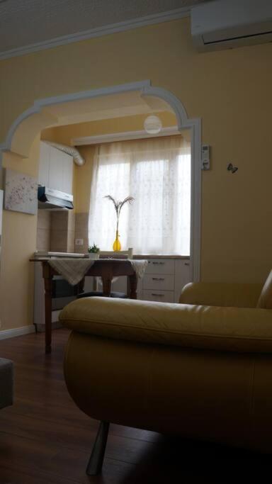 Alle'S M Shyri Studio Apartment ティラナ エクステリア 写真