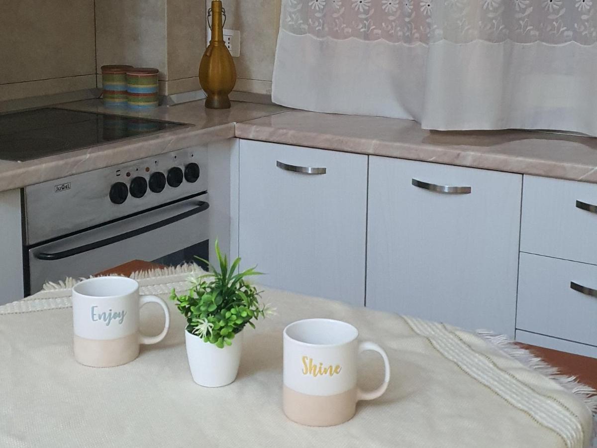 Alle'S M Shyri Studio Apartment ティラナ エクステリア 写真
