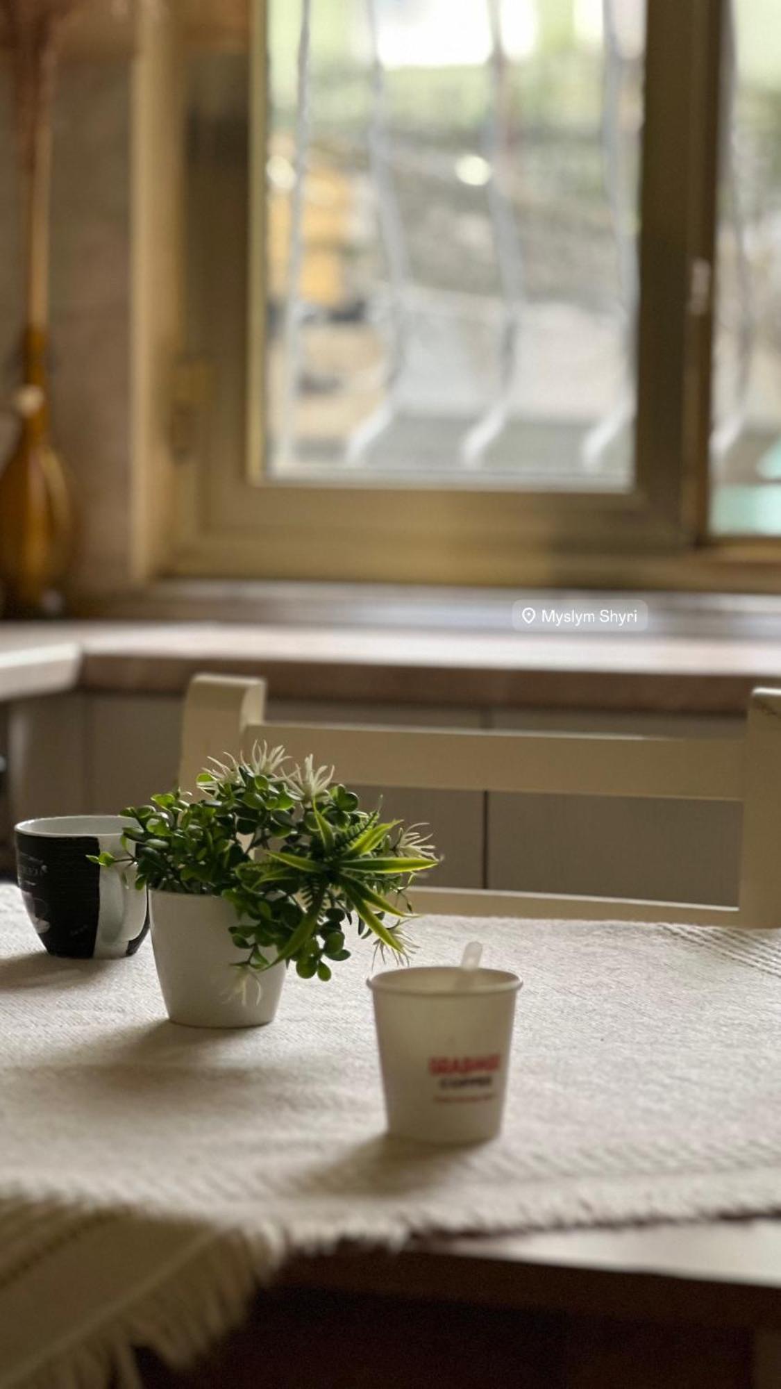 Alle'S M Shyri Studio Apartment ティラナ エクステリア 写真
